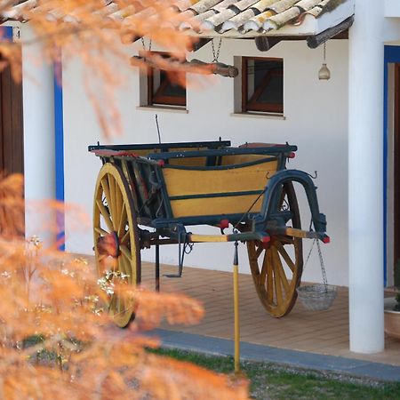 Quinta Do Rio Country Inn Silves Exterior photo