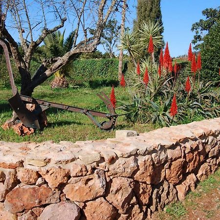 Quinta Do Rio Country Inn Silves Exterior photo